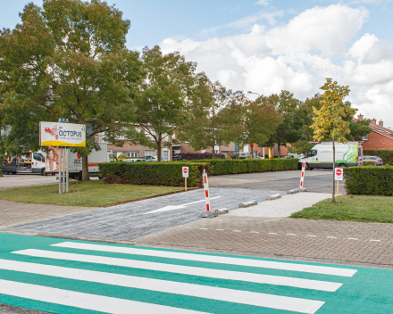 Herinrichten parking Merelstraat